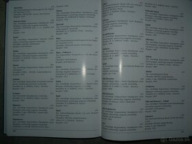 Historické Stříkačky - 8