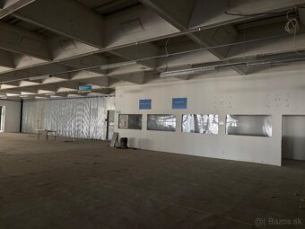Haly na prenájom - 8