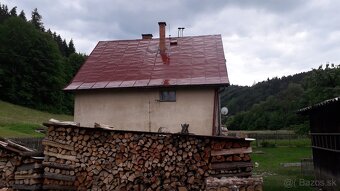 ✅️✅️✅️natieranie nátery maľovanie striech N27 - 8