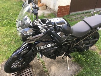 Predám Triumph Tiger XRX800 - 8