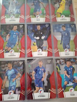 Slovenski sokoli 2024 - 8