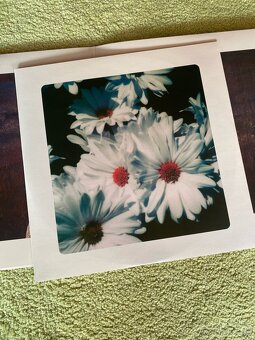 Lana Del Rey LP,RARE Lust For Life version - 8