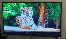 LG 65" UltraHD 4K Smart TV + HDR (65UJ630V) - 8