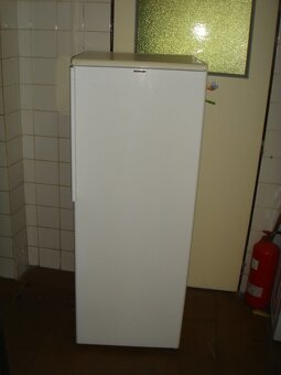 mraznička - 8