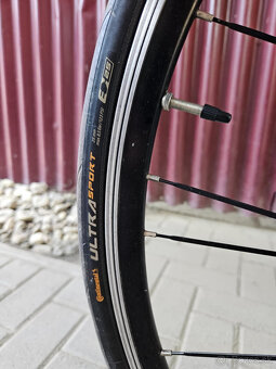 CTM Speedster road XTX - 8