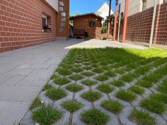 Zamkova dlažba - realizáciá, rekonštrukcia, čistenie - 8
