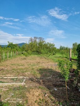 Dom vo Vilmány-Maďarsko - 8