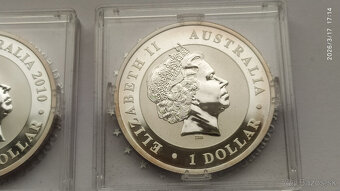 Koala 2010 a 2013 - 8