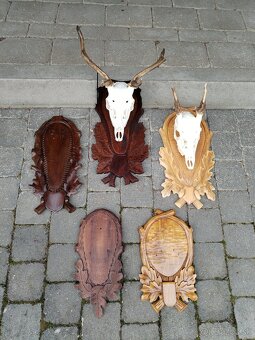 Podložky pod trofeje danielov - 8