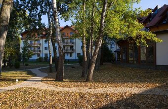 studio apartmán s balkónom pri jazere – Drazdiak - 8