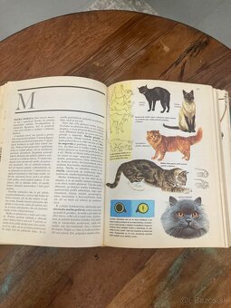 Svet živočíšnej ríše - 8