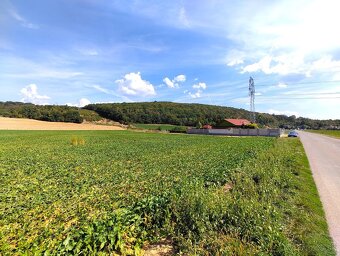 Trenčianske Bohuslavice - 5.850 m2 REKREAČNÝ pozemok - 8