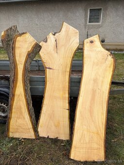 Orechové fošne - 8