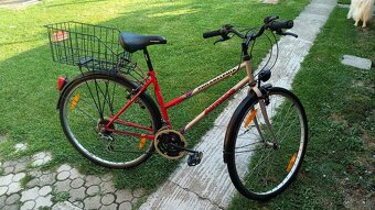 Bicykel Philadelphia - 8