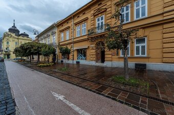 Priestor pre spoločenské akcie, CENTRUM- KE Hlavná ul. - 8