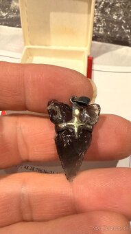 ORIGINALNY SPERK"OBSIDIAN V STRIEBRE SO ZLATOM" - 8