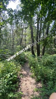 Lestnatý porast 5862 m2, Včelárska paseka, Vyšné Opátske - 8