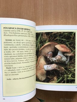 5 x literatura o hubach - 8