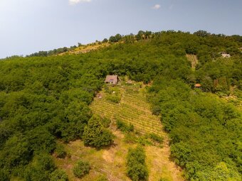 Vinica so záhradným domčekom v záhradkárskej oblasti Kráľovs - 8