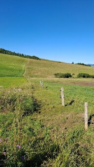 Kosenie Pílenie Údržba Pozemkov - 8