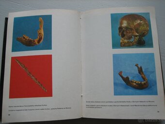 Veľký obrazový atlas pravekého človeka. - 8