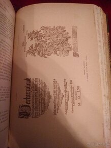 Písemnictví české slovem i obrazem  Václav Flajšhans 2 diely - 8