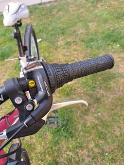 Dievčenský bicykel,CTM-Willy 24" - 8