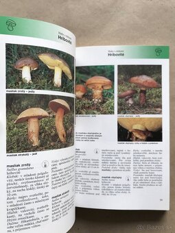 Jóga, Huby, Včelia materská kašička, Queen, Veľká kniha o - 8
