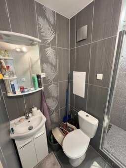 1-izbový slnečný byt na dlhodobý prenájom - 8