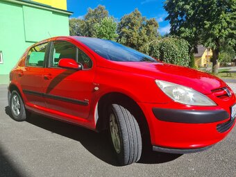 Peugeot 307 - 8