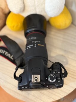 Canon EOS 600D + Canon 50mm f/1.8 + Sigma 70-300mm - 8