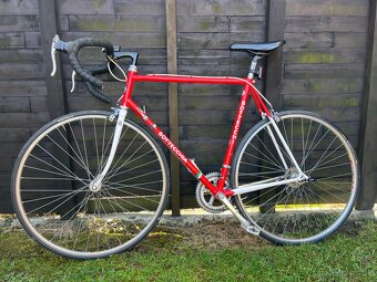 Bottechia pánsky cestný bicykel - 8