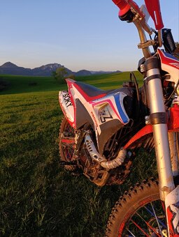 Dirt bike Apollo lizard RFZ 250 - 8