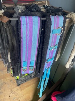 Vypratavanie sedlovne - 8