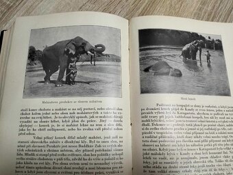 98 ročný cestopis--Perla Indického oceánu-1926-vzpomínky z d - 8