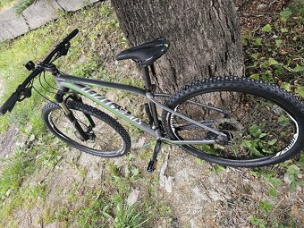 Specialized Rockhopper Comp M ,,29" - 8