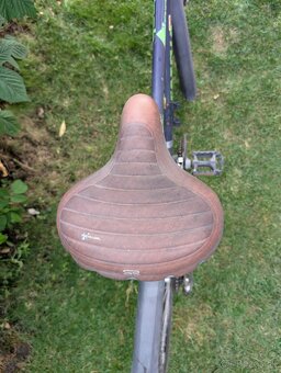 Pánsky bicykel Fatria-Čaprnka s nástavcom pre psa - 8