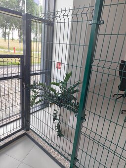 NAJNIŽŠIE CENY,  Ploty, Pletiva, 3D a 2D panely - 8