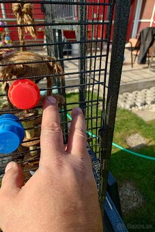 Klietka + zrno a doplnky stravy - 8