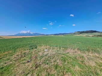 Podhorany – 11.243 m2 ORNÁ PÔDA v podiele 1/1 – Predaj - 8