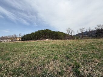 POZEMOK PRI HLAVNEJ CESTE V RAJECKEJ LESNEJ - 8