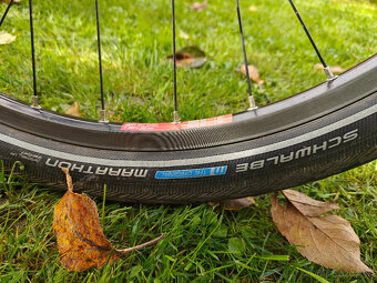 Idworx Easy Rohler veľkosť L - 8