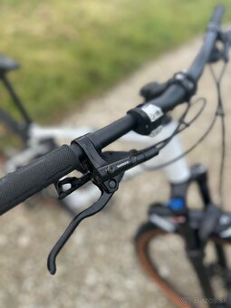 Focus WHISTLER 3.8 light grey 29 XL - 8