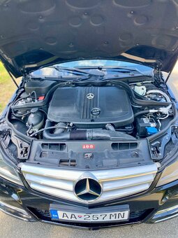 Mercedes Benz W204 C220 cdi - 8
