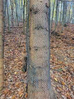 Vymením 3,8 ha lesného pozemku za ornú pôdu - 8