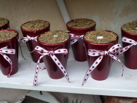 Doplnky na chalupu do červena - 8