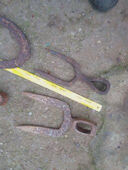 Tlcik motyka podkova - 8