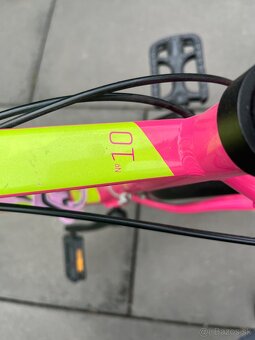 Ruzovo zlty bicykel - 8