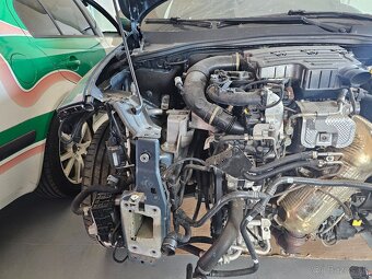 Fiat Tipo Coss 2021 - 8