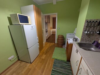 Large refurbished 1-bedroom apartment - 8